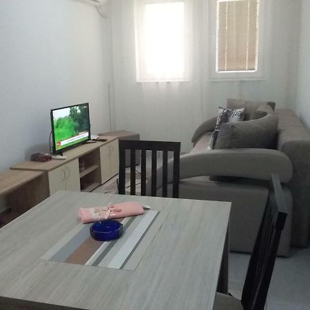 Apartman Jevtic 1 Gornja Toplica Экстерьер фото